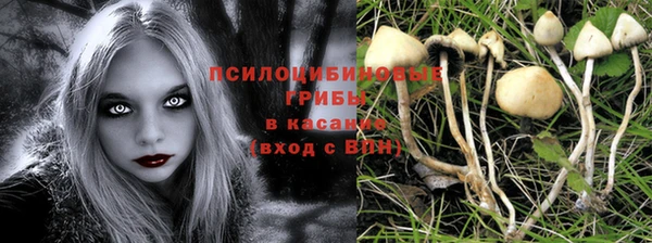 гашик Алзамай