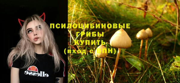 эйфоретик Алексин