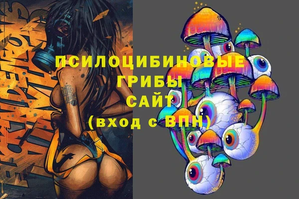 гашик Алзамай
